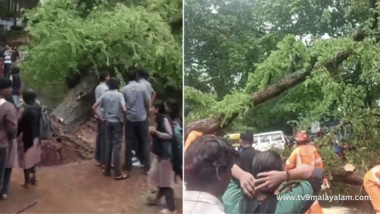 Palakkad School Accident: പാലക്കാട് സ്കൂളിൻ്റെ മുന്നിൽ മരം കടപുഴകി വീണു; എട്ട് വിദ്യാർത്ഥികൾക്ക് പരിക്ക്