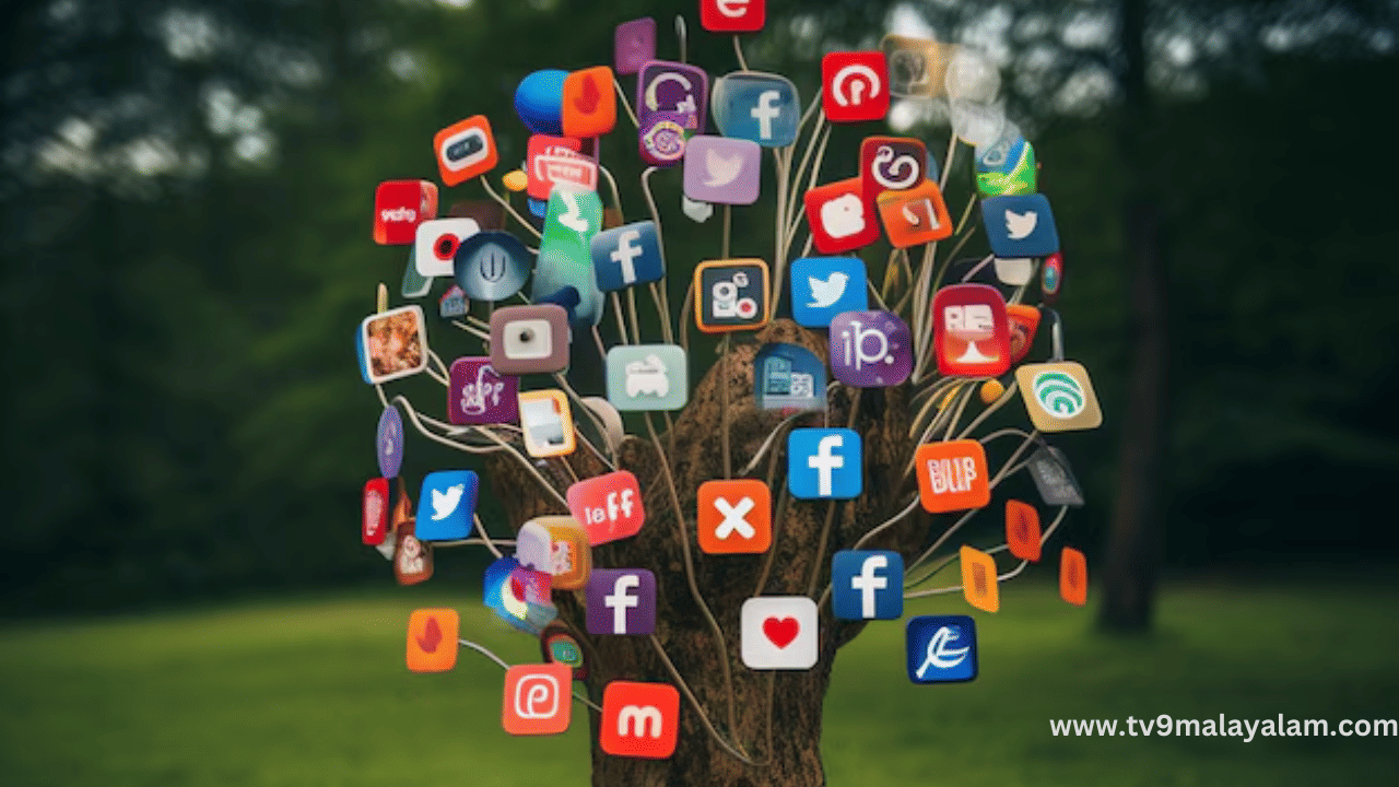 സോഷ്യൽ മീഡിയയെ ബഹുമാനിക്കാൻ ഒരു ദിവസം എന്ന നിലക്കാണ് മഷബിൾ ഈ ദിവസം ആചരിക്കുന്നത്. ലോകമെമ്പാടുമുള്ള വിനോദ, മൾട്ടി-പ്ലാറ്റ്ഫോം മീഡിയ ബിസിനസ്സാണ് മഷബിൾ എന്നത്. എന്നാൽ, സോഷ്യൽ മീഡിയയുടെ തുടക്കം 1990-കളിലാണ്. സിക്സ്ഡി​ഗ്രീസ് എന്ന  പ്ലാറ്റ്‌ഫോം ആരംഭിക്കുകയും അതിലൂടെ പ്രൊഫൈലുകൾ സൃഷ്ടിക്കാനും സുഹൃത്തുക്കളുമായി കണക്റ്റുചെയ്യാനുമുള്ള അവസരം ലഭിച്ചു.