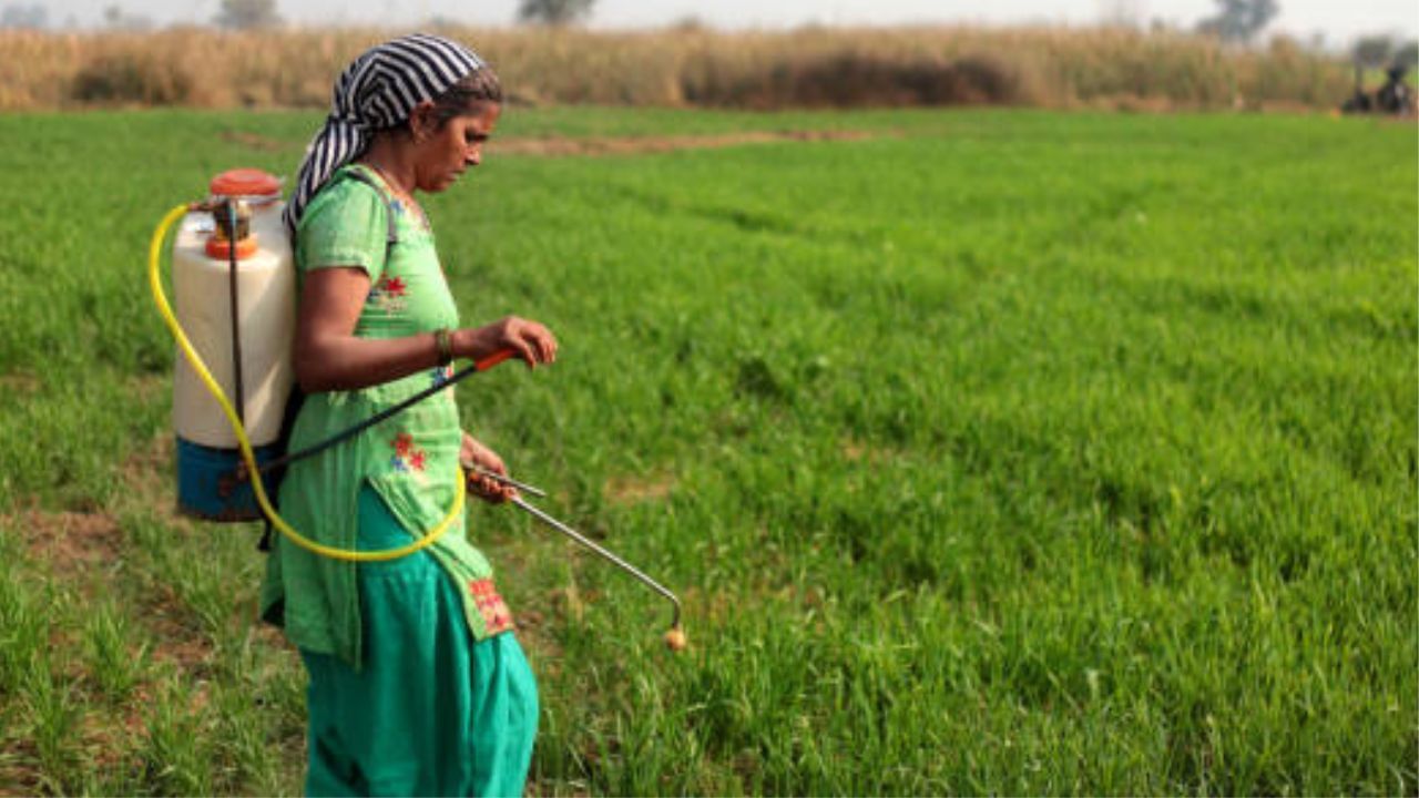 Agricultural Pesticide Issue : പുകവലിയെക്കാളും ദോഷം ചെയ്യും; കൃഷിക്കുപയോഗിക്കുന്ന കീടനാശിനി ശ്വസിക്കുന്നത് ക്യാൻസറിന് കാരണമാകുമെന്ന് പഠനം Agricultural Pesticide Issue : പുകവലിയെക്കാളും ദോഷം ചെയ്യും; കൃഷിക്കുപയോഗിക്കുന്ന കീടനാശിനി ശ്വസിക്കുന്നത് ക്യാൻസറിന് കാരണമാകുമെന്ന് പഠനം