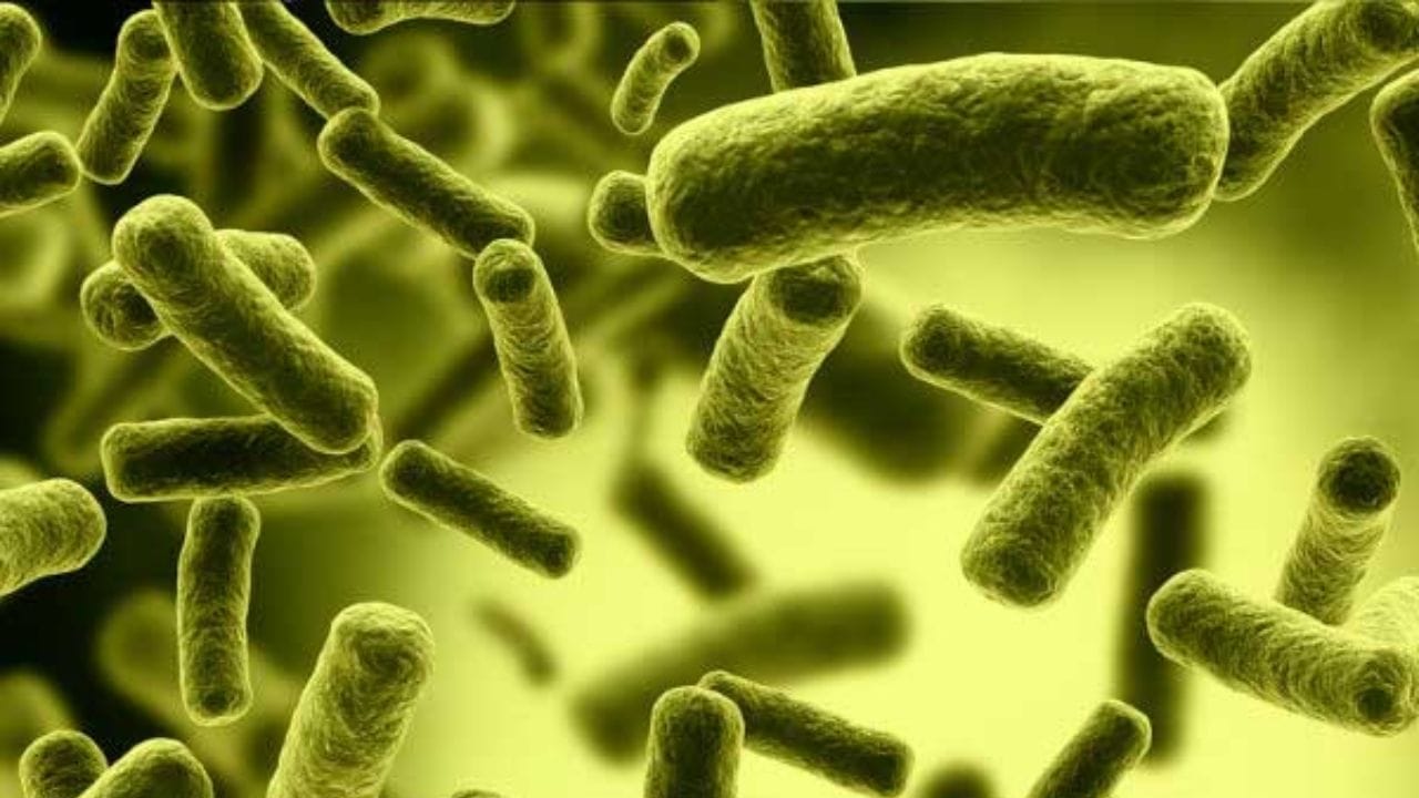 ശരീരത്തിൽ നിന്നും ജലാംശം പെട്ടെന്ന് കുറയുന്നതിനാൽ മൂത്രത്തിന്റെ അളവ് കുറയുകയും വൃക്കകളുടെ പ്രവർത്തനം നിലയ്ക്കുകയും ചെയ്യും. കൂടാതെ അടുത്ത പ്രധാന ലക്ഷണമായ ഛർദ്ദി ഉള്ളതുമൂലം രോഗിക്ക് വെള്ളം കുടിച്ച് ശരീരത്തിലെ ജലാംശം നിലനിർത്താൻ സാധിക്കാതെ വരികയും ചെയ്യുന്നു. സ്ക്രീനിംഗ്(screening ) ടെസ്റ്റും, രോഗം അതു തന്നെ എന്ന് ഉറപ്പിക്കാനുള്ള കൺഫർമെഷൻ ടെസ്റ്റും ആണ് രോഗം ഉറപ്പിക്കാൻ ചെയ്യുക. റാപിഡ് ഡിപ്പ് സ്റ്റിക് ടെസ്റ്റ് എന്ന ടെസ്റ്റ് ആണ് കോളറയുടെ ദൃതരോഗനിർണയ ടെസ്റ്റ്. രോഗിയുടെ മലമാണ് ടെസ്റ്റ് ചെയ്യുക.