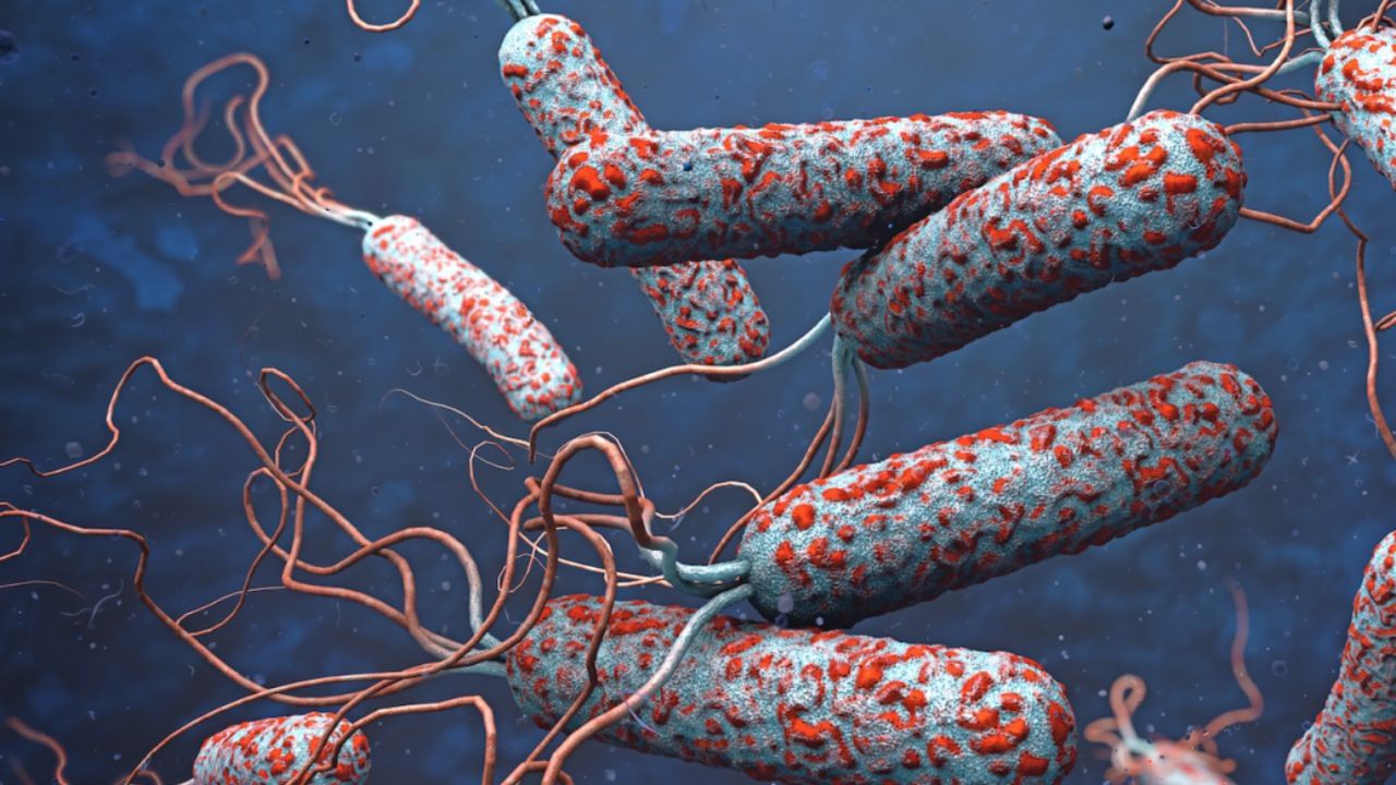 വെള്ളത്തിലൂടെ പകരുന്ന രോഗങ്ങളിലൊന്നാണ്‌ കോളറ. വിബ്രിയോ കോളറേ (Vibrio Cholerae) എന്ന ബാക്റ്റീരിയയാണ്‌ രോഗം പരത്തുന്നത്. വൃത്തിഹീനമായ ചുറ്റുപാടുകളിൽ നിന്നും ലഭിക്കുന്ന വെള്ളം, ആഹാരം എന്നിവയിലൂടെയാണ്‌ ഈ രോഗാണു ശരീരത്തിലെത്തുന്നത്. ശരീരത്തിൽ കടക്കുന്ന ഇവ "കോളറാ ടോക്സിൻ" എന്ന വിഷവസ്തു ഉത്പാദിപ്പിക്കുകയും ഇത് വയറിളക്കത്തിന്‌ കാരണമാകുകയും ചെയ്യും. മനുഷ്യരുടെ മലവിസർജ്ജനം വഴി പുറത്തെത്തുന്ന ഈ ബാക്റ്റീരിയകൾ കുടിവെള്ളത്തിൽ കലരുകയും അതിലൂടെ രോഗം പകരുകയും ചെയ്യുന്നു.