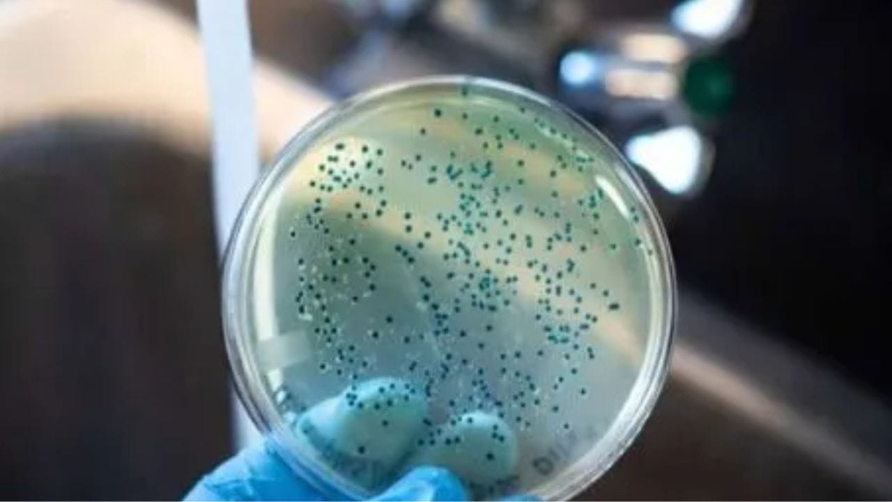 നെയ്യാറ്റിന്കര ഭിന്നശേഷിക്കാരുടെ ഹോസ്റ്റലിലെ അന്തേവാസിയായ അനുവാണ് (26) കോളറ ലക്ഷണങ്ങൾ കാണിക്കുകയും തുടർന്ന് മരണത്തിനു കീഴടങ്ങുകയും ചെയ്തത്. അനുവിനൊപ്പം വയറിളക്കം ബാധിച്ച കുട്ടിക്ക് കോളറ സ്ഥിരീകരിച്ചിരുന്നു. ഹോസ്റ്റലിലെ ഒമ്പത് അന്തേവാസി വയറിളക്കം ബാധിച്ചതിനേത്തുടർന്ന് മെഡിക്കല് കോളജ് ആശുപത്രിയിലാണ്. മരിച്ച അനുവിന് കോളറ ബാധിച്ചിരുന്നോയെന്ന് കണ്ടെത്താന് പരിശോധന നടത്തും. സംസ്ഥാനത്ത് കഴിഞ്ഞ 6 മാസത്തിനിടെ 9 പേര്ക്കാണ് കോളറ സ്ഥിരീകരിച്ചത് എന്നാണ് വിവരം. ഒടുവിലായി 2017ലാണ് സംസ്ഥാനത്ത് കോളറ ബാധിച്ച് മരണം സംഭവിക്കുന്നത്.