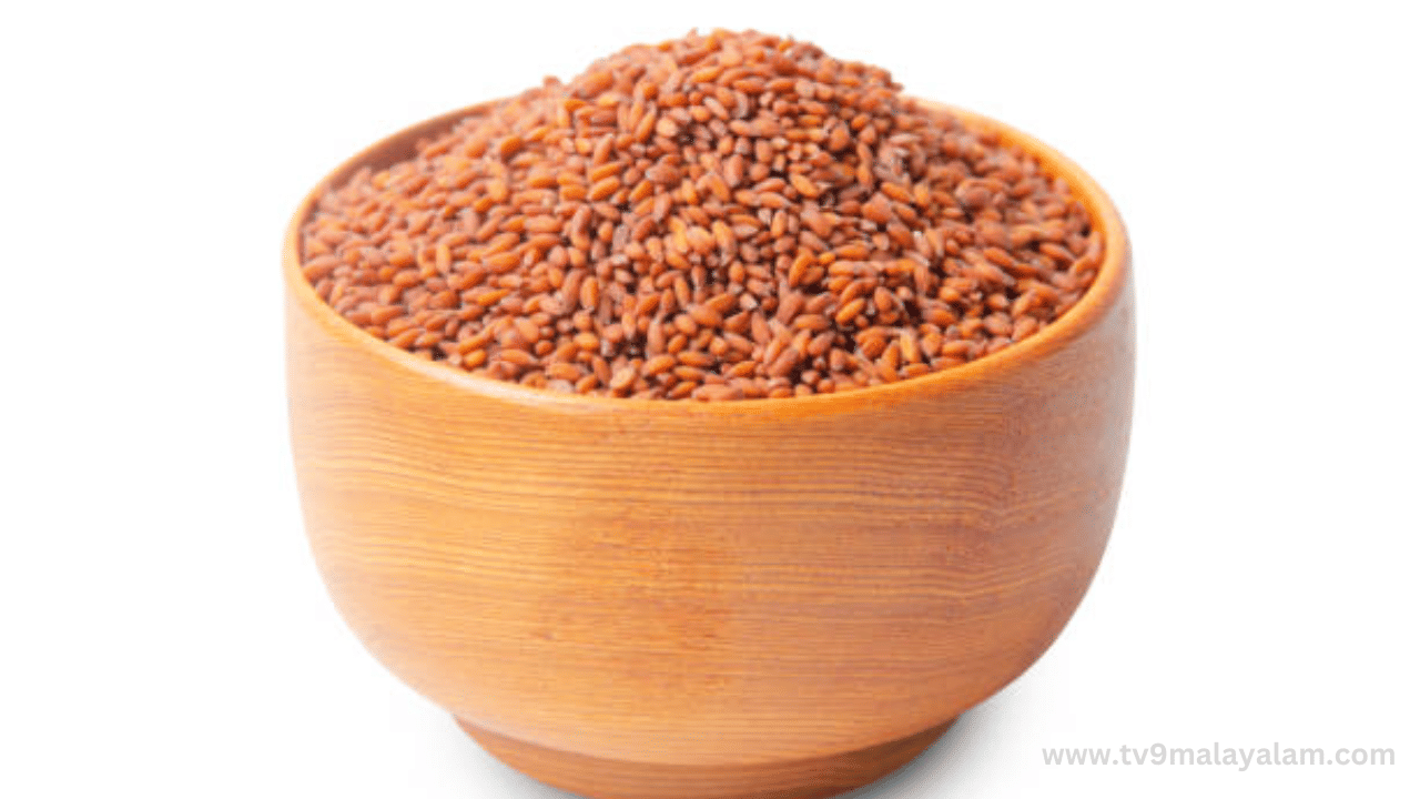 കാഴ്ചയിൽ ചണവിത്തുമായി സാമ്യമുണ്ടെങ്കിലും ആരോഗ്യ ഗുണങ്ങൾ ചെറുതൊന്നുമല്ല. കർക്കിടക കഞ്ഞിയിലും ഔഷധചേരുവകളിലും വർഷങ്ങളായി ഉപയോഗിച്ചുവരുന്ന ഒന്നാണിത്. ഇരുമ്പിന്റെ നല്ലൊരു സ്രോതസാണിത്. കൂടാതെ മഗ്നീഷ്യവും പ്രോട്ടീനുമെല്ലാം ഇതിലുണ്ട്. ചിയാവിത്തും ചണവിത്തും പോലെതന്നെ കുതിർത്ത് കഴിക്കുന്നതും വളരേയെറെ ഗുണം ചെയ്യും.