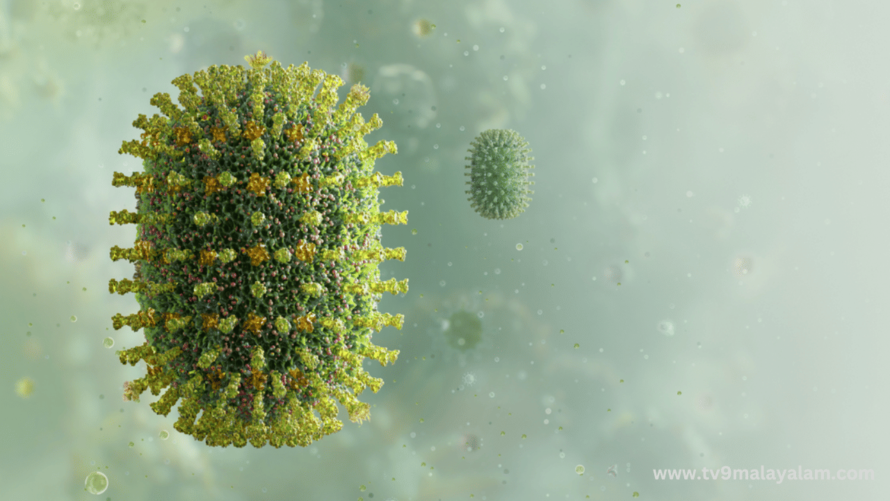 H1N1 Death: എറണാകുളത്ത് എച്ച്1 എൻ1 ബാധിച്ച് നാല് വയസുകാരൻ മരിച്ചു