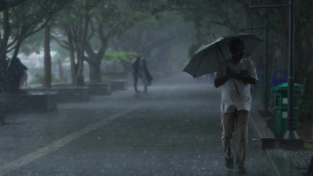 Kerala Rain Updates : സംസ്ഥാനത്ത് ഇടത്തരം മഴ തുടരും; രണ്ട് ജില്ലകളിൽ യെല്ലോ അലർട്ട്; നാളെ ഓറഞ്ച് അലർട്ട്