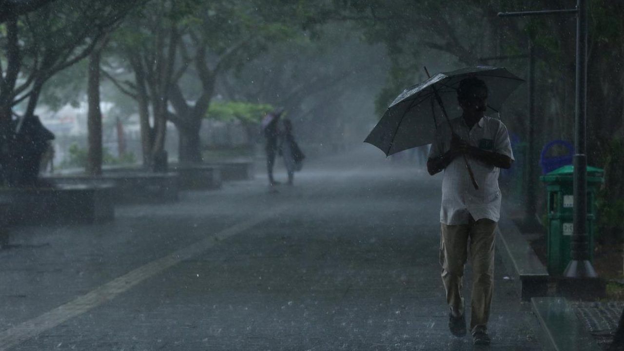 Kerala Rain Updates : സംസ്ഥാനത്ത് ഇടത്തരം മഴ തുടരും; രണ്ട് ജില്ലകളിൽ യെല്ലോ അലർട്ട്; നാളെ ഓറഞ്ച് അലർട്ട് Kerala Rain Updates : സംസ്ഥാനത്ത് ഇടത്തരം മഴ തുടരും; രണ്ട് ജില്ലകളിൽ യെല്ലോ അലർട്ട്; നാളെ ഓറഞ്ച് അലർട്ട്