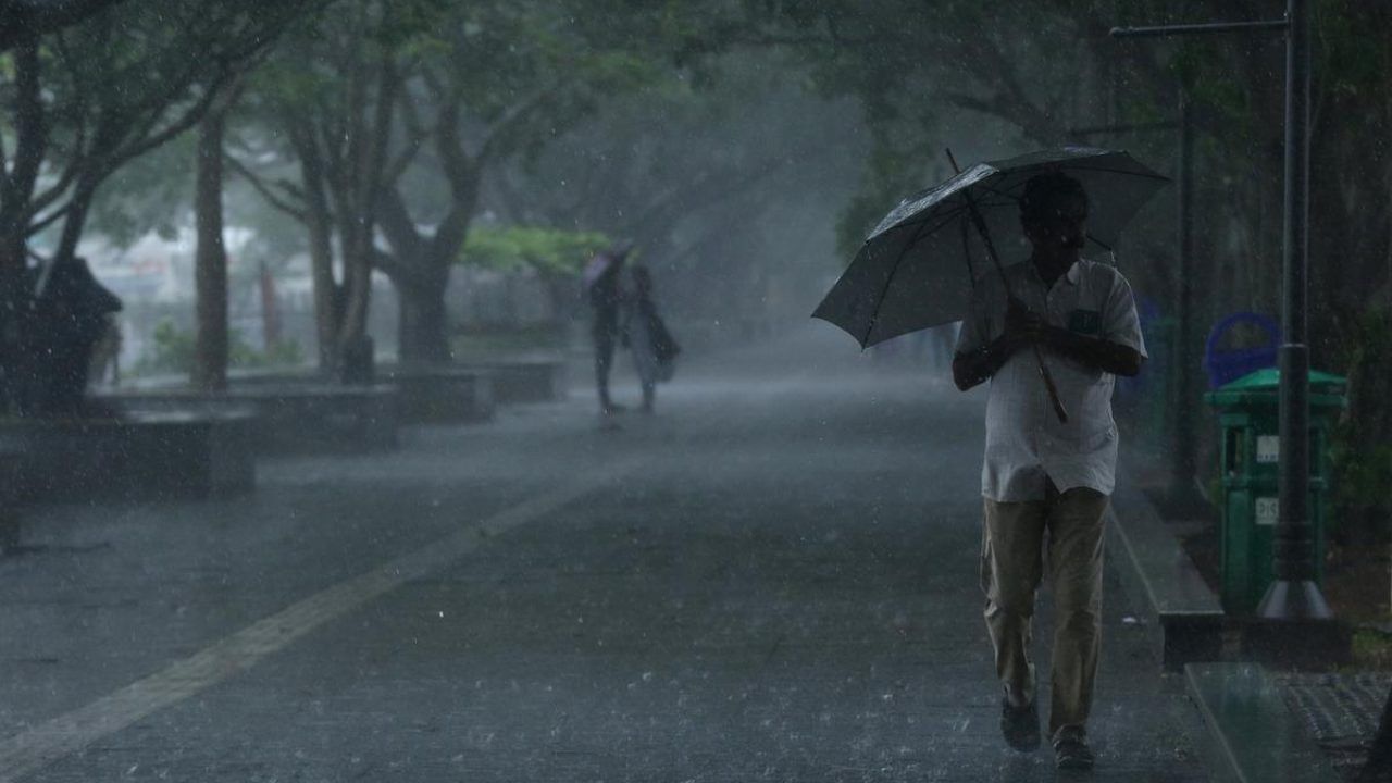 Kerala Rain Updates : സംസ്ഥാനത്ത് ഇടത്തരം മഴ തുടരും; രണ്ട് ജില്ലകളിൽ യെല്ലോ അലർട്ട്; നാളെ ഓറഞ്ച് അലർട്ട്