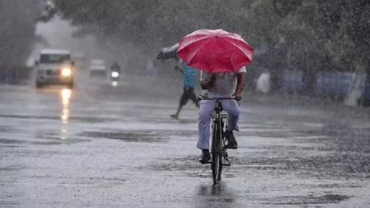 Kerala Rain Alerts : സംസ്ഥാനത്ത് മഴ ദുർബലമാകും; അടുത്ത ദിവസങ്ങളിൽ ഒറ്റപ്പെട്ട മഴയ്ക്ക് സാധ്യത