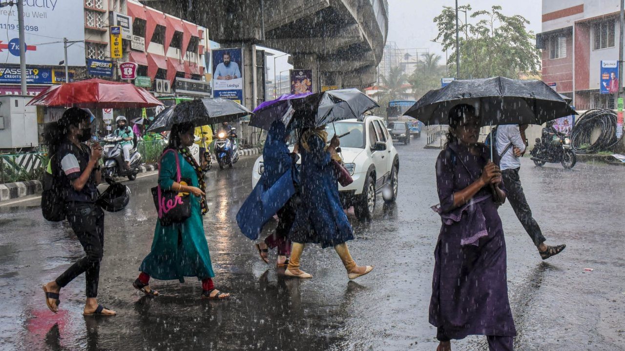 Kerala Rain Holiday : ഇന്ന് അഞ്ച് ജില്ലകളിൽ ഓറഞ്ച് അലർട്ട്; എട്ട് ജില്ലകളിലെ വിദ്യാഭ്യാസ സ്ഥാപനങ്ങൾക്ക് അവധി Kerala Rain Holiday : ഇന്ന് അഞ്ച് ജില്ലകളിൽ ഓറഞ്ച് അലർട്ട്; എട്ട് ജില്ലകളിലെ വിദ്യാഭ്യാസ സ്ഥാപനങ്ങൾക്ക് അവധി