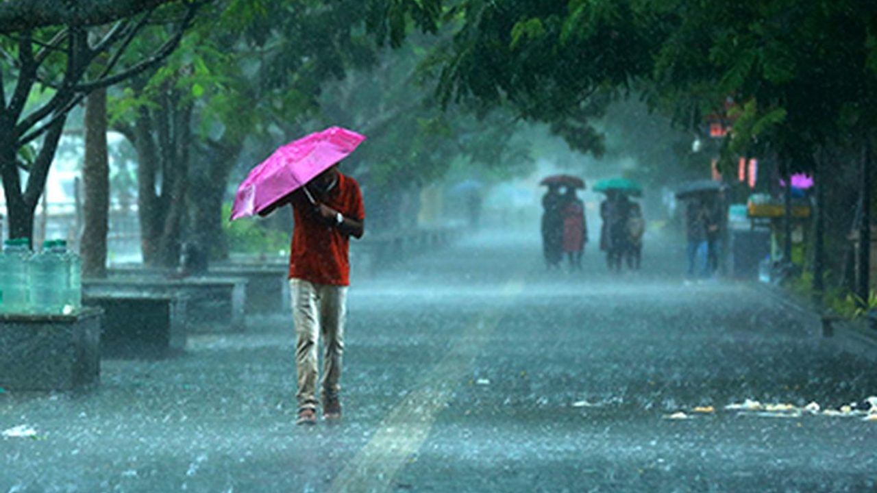 Kerala Rain Updates : കനത്ത മഴ ഇന്നും തുടരും; നാല് ജില്ലകളിൽ യെല്ലോ അലർട്ട്