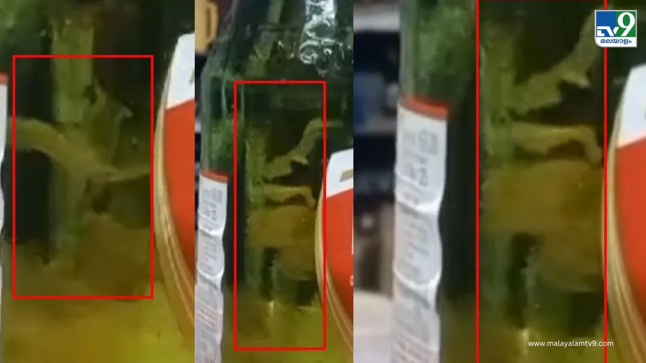 Viral News: പൊട്ടിക്കാത്ത ബിയർ കുപ്പിയിലുള്ള സാധനം കണ്ട് വാങ്ങിയയാൾ അന്തം വിട്ടു, ബോധം പോകുമായിരുന്നു Viral News: പൊട്ടിക്കാത്ത ബിയർ കുപ്പിയിലുള്ള സാധനം കണ്ട് വാങ്ങിയയാൾ അന്തം വിട്ടു, ബോധം പോകുമായിരുന്നു