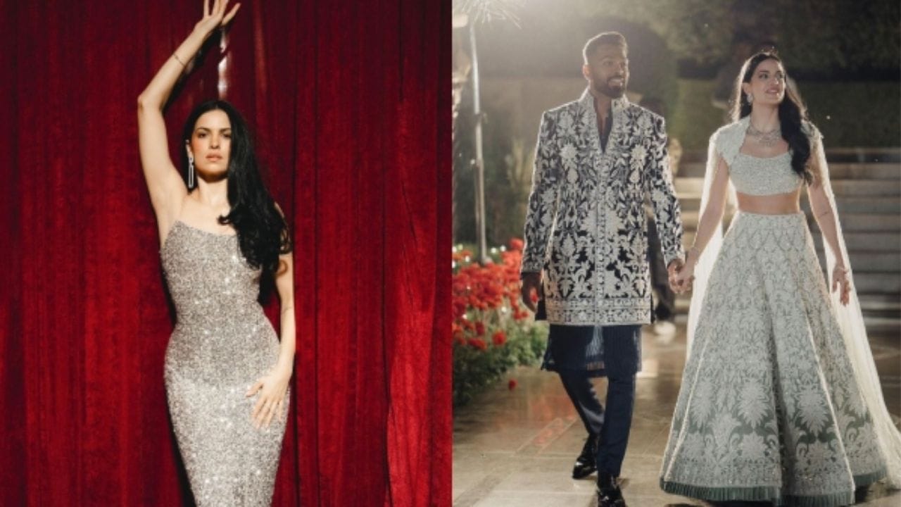 നാല് വർഷത്തെ വൈവാഹിക ജീവിതത്തിന് ശേഷമാണ് ഇരുവരും ബന്ധം വേർപ്പെടുത്തിയതെന്ന് ഹാർദിക് പാണ്ഡ്യ ഇൻസ്റ്റഗ്രാമിലൂടെ അറിയിച്ചു. ഇരുവരും ചേർന്നെടുത്ത തീരുമാനമാണെന്ന് ഇന്ത്യൻ ക്രിക്കറ്റ് താരം സോഷ്യൽ മീഡിയയിൽ പറഞ്ഞു.