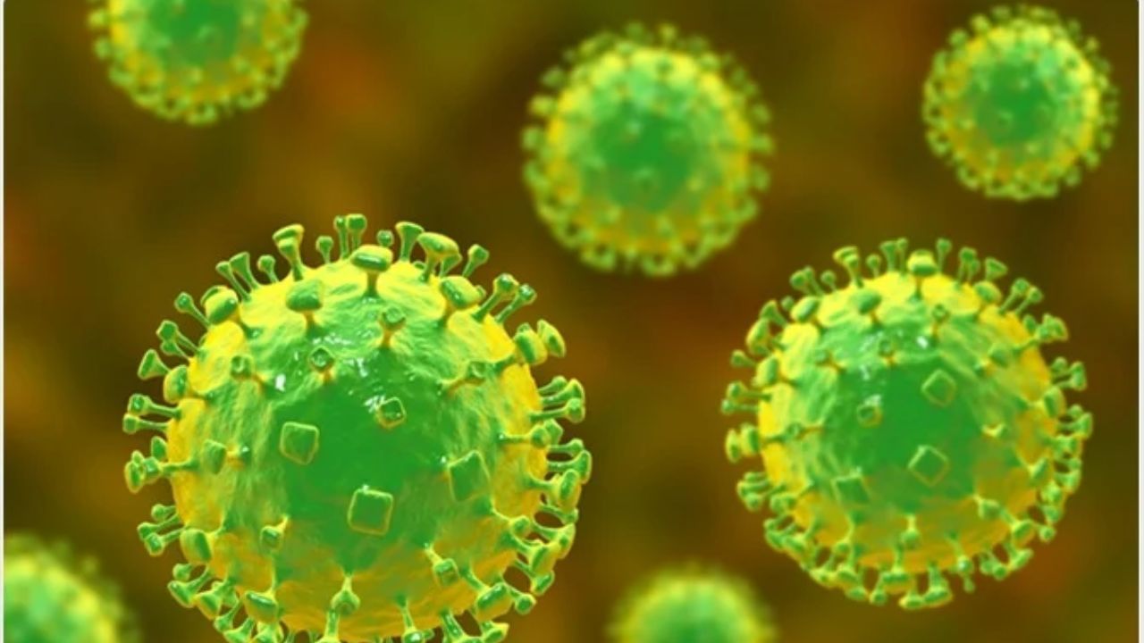 Nipah Virus: നിപ ബാധിച്ച കുട്ടിക്കായി ഇന്ന് ഓസ്ട്രേലിയയിൽ നിന്ന് മരുന്നെത്തും Nipah Virus: നിപ ബാധിച്ച കുട്ടിക്കായി ഇന്ന് ഓസ്ട്രേലിയയിൽ നിന്ന് മരുന്നെത്തും