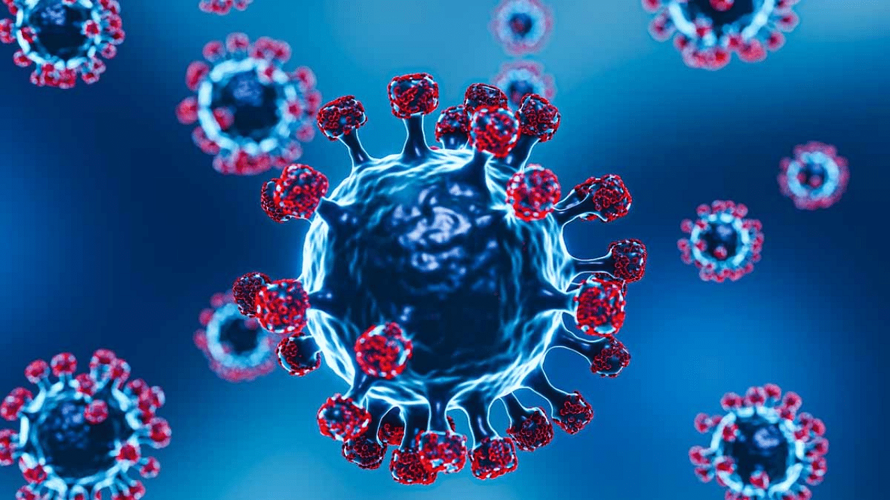 Nipah Virus: നിപ രോഗബാധ: ഇതുവരെ നെഗറ്റീവായത് 68 സാമ്പിളുകൾ, മലപ്പുറത്ത് നിയന്ത്രണങ്ങളിലും ഇളവ് Nipah Virus: നിപ രോഗബാധ: ഇതുവരെ നെഗറ്റീവായത് 68 സാമ്പിളുകൾ, മലപ്പുറത്ത് നിയന്ത്രണങ്ങളിലും ഇളവ്