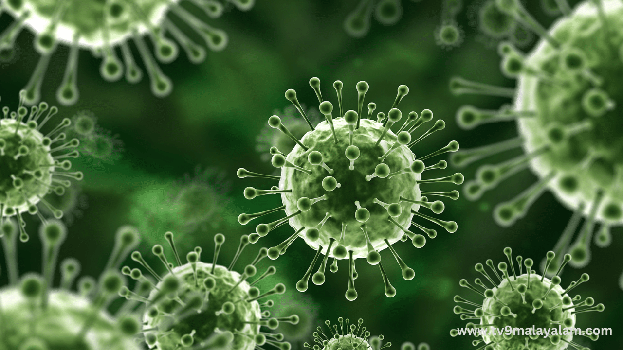 Nipah Virus: നിപ രോഗബാധ: കേന്ദ്രസംഘം ഇന്നെത്തും, തുടർനടപടികൾക്കായി അവലോകനയോഗം Nipah Virus: നിപ രോഗബാധ: കേന്ദ്രസംഘം ഇന്നെത്തും, തുടർനടപടികൾക്കായി അവലോകനയോഗം