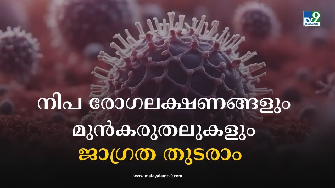 Nipah Virus Symptoms: നിപ രോഗബാധ ഉണ്ടാകുന്നതെങ്ങനെ? രോഗലക്ഷണങ്ങളും മുന്കരുതലുകളും എന്തെല്ലാം? Nipah Virus Symptoms: നിപ രോഗബാധ ഉണ്ടാകുന്നതെങ്ങനെ? രോഗലക്ഷണങ്ങളും മുന്കരുതലുകളും എന്തെല്ലാം?