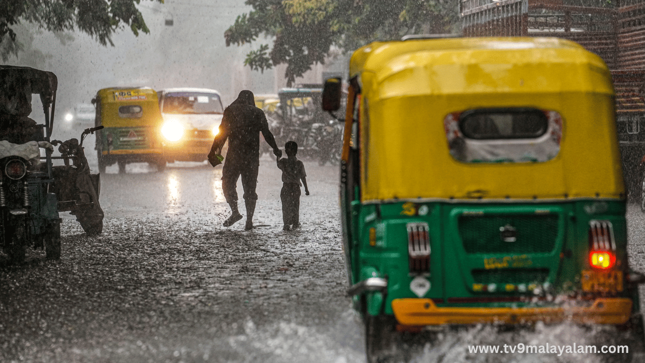 Kerala Rain Alert: സംസ്ഥാനത്ത് മഴ ശക്തി പ്രാപിക്കുന്നു; 10 ജില്ലകളിൽ യെല്ലോ അലർട്ട്, കടലിൽ പോകുന്നതിനും വിലക്ക് Kerala Rain Alert: സംസ്ഥാനത്ത് മഴ ശക്തി പ്രാപിക്കുന്നു; 10 ജില്ലകളിൽ യെല്ലോ അലർട്ട്, കടലിൽ പോകുന്നതിനും വിലക്ക്