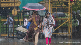 Kerala Rain Alert: സംസ്ഥാനത്തെ മഴക്കെടുതി..; ജില്ലകളിൽ കൺട്രോൾ റൂമുകൾ തുറന്നു, ദുരിതാശ്വാസ ക്യാമ്പുകളും സജ്ജം