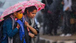 Wayanad Landslide : സഹായമായി 5 കോടി രൂപ നൽകുമെന്ന് സ്റ്റാലിൻ; യുഡിഎഫ് പ്രവർത്തകർ രക്ഷാപ്രവർത്തനത്തിൽ പങ്കെടുക്കണമെന്ന് രാഹുൽ