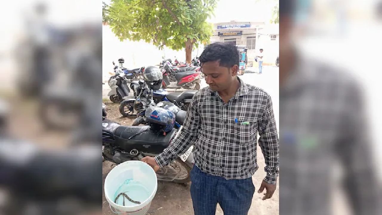 ബീഹാറിലാണ് സംഭവം. 'ഈ പാമ്പാണ് എന്റെ ഭാര്യയെ കടിച്ചത്. അവളെ ദയവായി രക്ഷപ്പെടുത്തണം,' എന്നുപറഞ്ഞുകൊണ്ടാണ് രാഹുല്‍ ആശുപത്രിയിലേക്കെത്തിയത്.
Image: Social Media