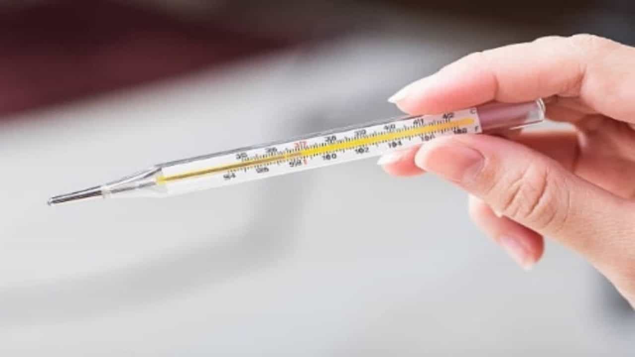 Viral Fever : സംസ്ഥാനം പനിച്ചുവിറയ്ക്കുന്നു; ഇന്നലെ മാത്രം ചികിത്സ തേടിയത് പതിനൊന്നായിരത്തിലധികം ആളുകൾ Viral Fever : സംസ്ഥാനം പനിച്ചുവിറയ്ക്കുന്നു; ഇന്നലെ മാത്രം ചികിത്സ തേടിയത് പതിനൊന്നായിരത്തിലധികം ആളുകൾ