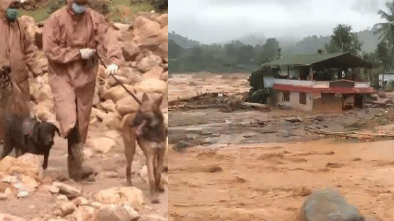 Wayanad Landslide: വയനാട് ഉരുൾപൊട്ടൽ; മനുഷ്യശരീരം കണ്ടെത്താൻ ദുരന്തഭൂമിയിലേക്ക് മായയും മർഫിയുമെത്തും