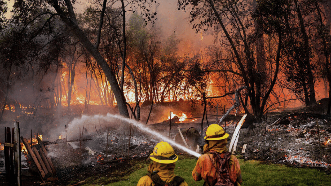 California Wildfire: മനുഷ്യനിർമ്മിത കാട്ടുതീ...; നിയന്ത്രണവിധേയമാക്കാനാകാതെ കാലിഫോർണിയ, കത്തിനശിച്ചത് 3,50,000 ഏക്കർ