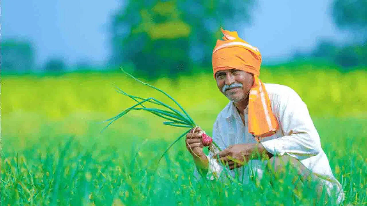 Budget 2024: ഇത്തവണത്തെ ബജറ്റിൽ കേരളത്തിൽ കർഷകർ പ്രതീക്ഷയർപ്പിക്കണോ? Budget 2024: ഇത്തവണത്തെ ബജറ്റിൽ കേരളത്തിൽ കർഷകർ പ്രതീക്ഷയർപ്പിക്കണോ?