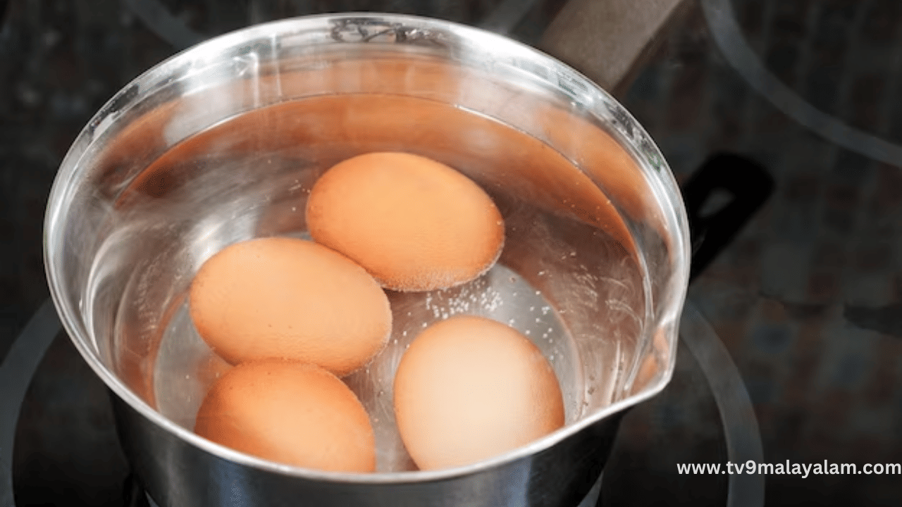 മുട്ട പുഴുങ്ങുമ്പോൾ പൊട്ടി പോകുന്നത് പലരും നേരിടുന്ന പ്രശ്നമാണ്. ഇനി മുതൽ മുട്ട പുഴുങ്ങുമ്പോൾ അതിലേക്ക് അൽപ്പം എണ്ണ ഒഴിച്ചാൽ മുട്ട പൊട്ടുന്നത് ഒഴിവാക്കാൻ സാധിക്കും.