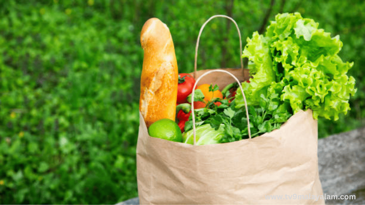 എന്താണ് പേപ്പർ ബാ​ഗ് ദിനം? എല്ലാവരുടെയും ഉള്ളിൽ ഉയരുന്ന ഒരു ചോദ്യം ഇതുതന്നെയാവും. എന്നാൽ ഇതിൻ്റെ പിന്നിലുമുണ്ടൊരു കഥ. എല്ലാ വർഷവും ജൂലെെ 12നാണ് ലോക പേപ്പർ ബാഗ് ദിനം (World Paper Bag Day) ആചരിച്ച് പോന്നത്. പേപ്പർ ബാഗുകളുടെ ഉപയോഗത്തിന്റെയും പ്ലാസ്റ്റിക് ബാഗുകളുടെ ഉപയോഗം ഒഴിവാക്കുന്നതിന്റെയും പ്രാധാന്യത്തെ കുറിച്ച് ജനങ്ങളെ ബോധവൽക്കരിക്കുന്നതിനാണ് ഈ ദിനം ആചരിക്കുന്നത്. 
