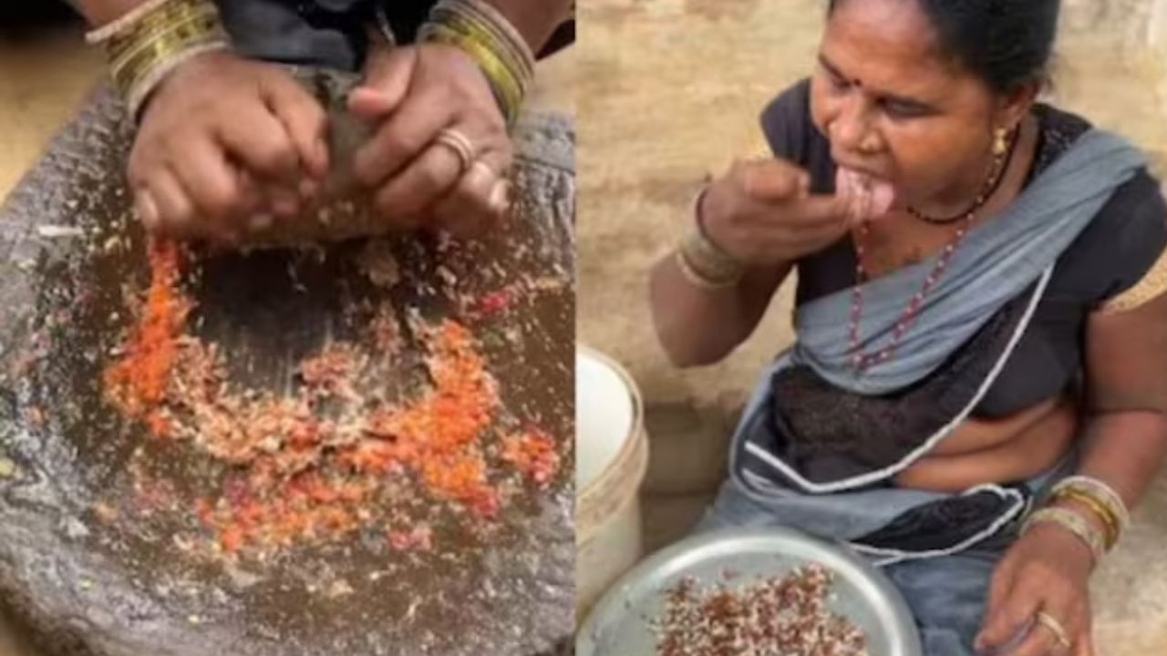 Red Ant Chutney: ചിക്കനും മട്ടനും പോലും കൊള്ളാം, പക്ഷേ ഇത്! ; അറിയാം വൈറൽ ഉറുമ്പു ചട്ണിയുടെ വിശേഷം Red Ant Chutney: ചിക്കനും മട്ടനും പോലും കൊള്ളാം, പക്ഷേ ഇത്! ; അറിയാം വൈറൽ ഉറുമ്പു ചട്ണിയുടെ വിശേഷം