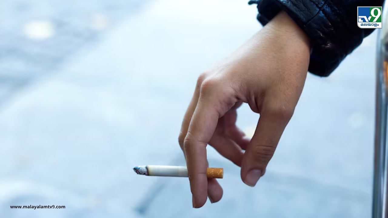 Smoking Habit: ഒരു വർഷം പുകവലിക്കാൻ വേണ്ടത് ആറ് ലീവ്: ജോലി സമയത്തെ പുകവലിക്കാർ അറിയാൻ