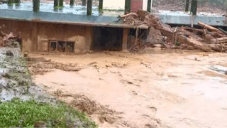 Kerala Rain Alert: സംസ്ഥാനത്ത് മഴക്കെടുതി രൂക്ഷം; 10 ജില്ലകളിലെ വിദ്യാഭ്യാസ സ്ഥാപനങ്ങൾക്ക് അവധി