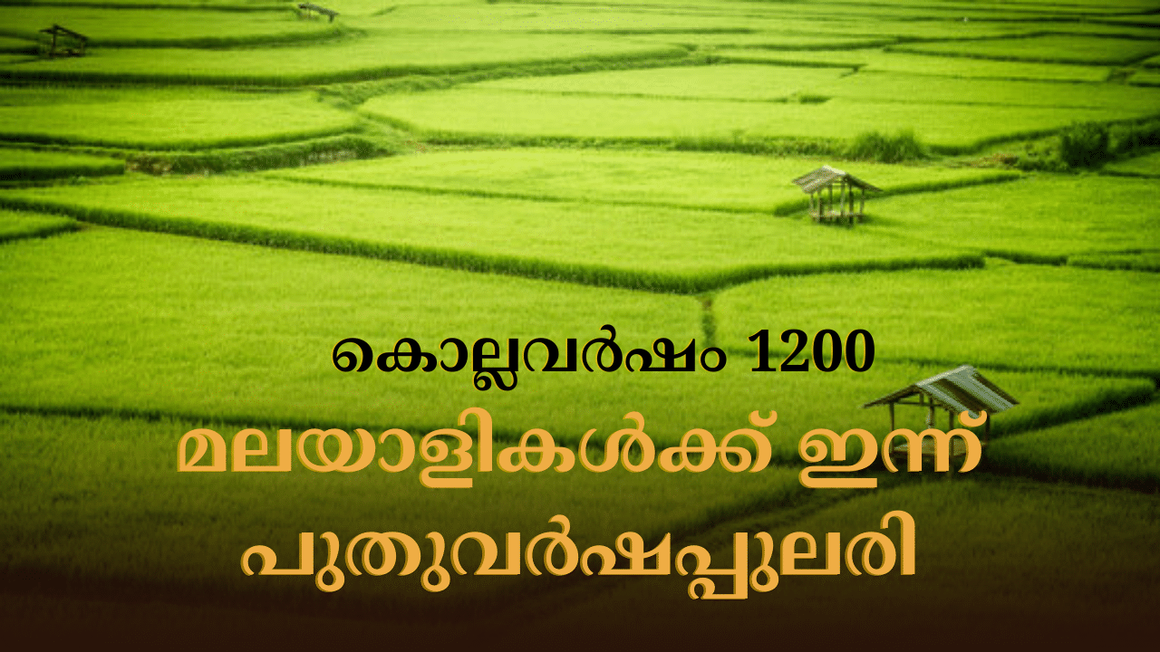 Chingam 2024: പുതുവർഷപ്പുലരിയെ വരവേറ്റ് മലയാളികൾ; പുതിയ നൂറ്റാണ്ടിന് തുടക്കം, ഇനി പൊന്നോണത്തിനായുള്ള കാത്തിരിപ്പ്