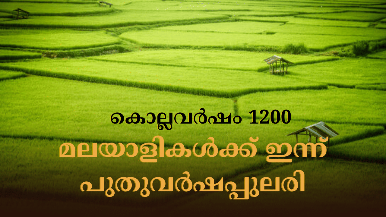 Chingam 2024: പുതുവർഷപ്പുലരിയെ വരവേറ്റ് മലയാളികൾ; പുതിയ നൂറ്റാണ്ടിന് തുടക്കം, ഇനി പൊന്നോണത്തിനായുള്ള കാത്തിരിപ്പ് Chingam 2024: പുതുവർഷപ്പുലരിയെ വരവേറ്റ് മലയാളികൾ; പുതിയ നൂറ്റാണ്ടിന് തുടക്കം, ഇനി പൊന്നോണത്തിനായുള്ള കാത്തിരിപ്പ്