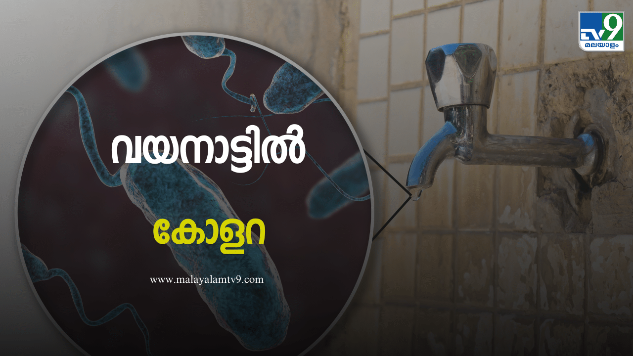 Wayanad Cholera Cases: വയനാട്ടില്‍ കോളറ മരണം; 22കാരനും രോഗം