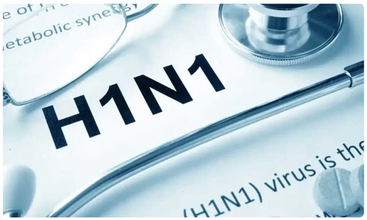 H1N1 Death: പന്നിപ്പനി മരണങ്ങൾ; മുന്നിൽ കേരളം ഉൾപ്പെടെയുള്ള മൂന്ന് സംസ്ഥാനങ്ങൾ, കാരണവും പ്രതിരോധവും ഇങ്ങനെ...