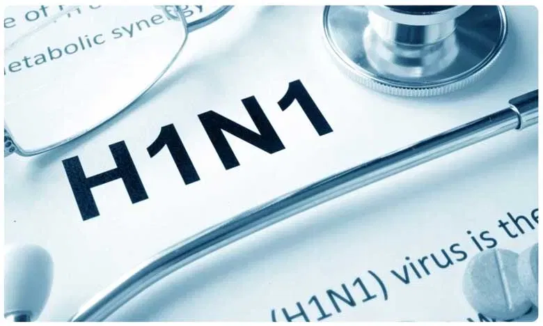 H1N1 Death: പന്നിപ്പനി മരണങ്ങൾ; മുന്നിൽ കേരളം ഉൾപ്പെടെയുള്ള മൂന്ന് സംസ്ഥാനങ്ങൾ, കാരണവും പ്രതിരോധവും ഇങ്ങനെ…