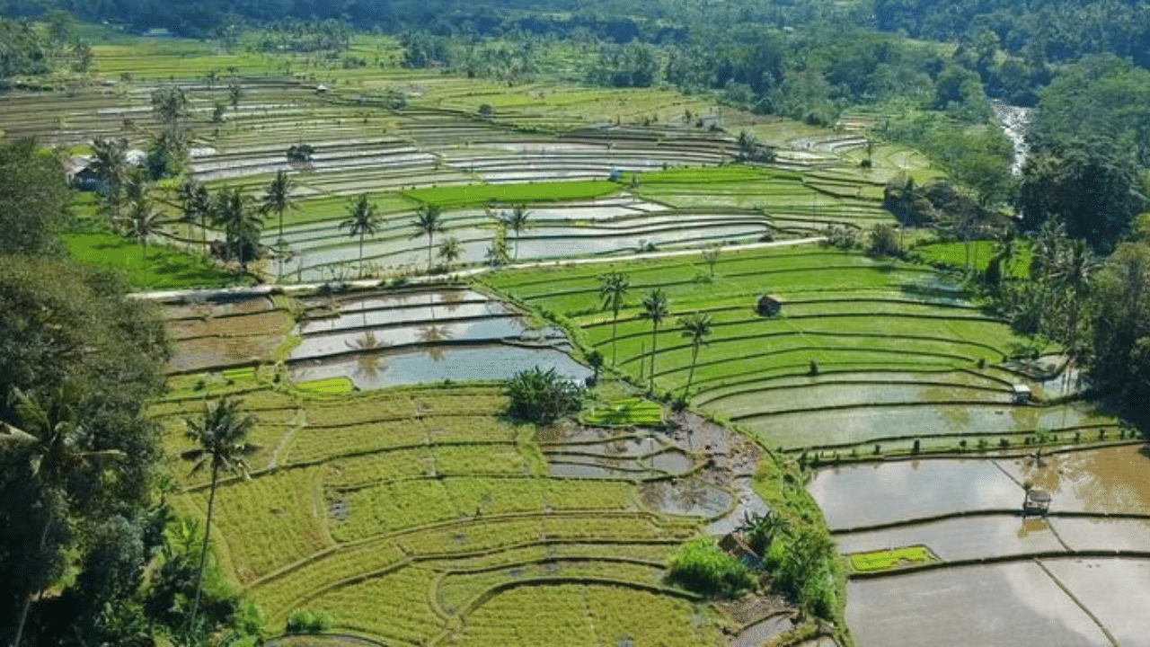 കാലാവസ്ഥ വ്യതിയാനം മൂലം ഉണ്ടാവുന്ന അപകട സാധ്യതകൾ കുറയ്ക്കുക, കൃഷി സംരക്ഷിക്കുന്നതിനുള്ള നിർദ്ദേശങ്ങളും സേവനങ്ങളും നൽകുക, കൃഷിയുമായി ബന്ധപ്പെട്ട എല്ലാ ഡാറ്റകളും ഒരൊറ്റ പ്ലാറ്റഫോമിലായി ഏകീകരിക്കു, കാലാവസ്ഥക്ക് അനുശ്രുതമായ വിളകൾ കണ്ടെത്തുക, വിളവ്, വിള വിസ്തീർണം എന്നിവ കണക്കാക്കുക., സർക്കാർ പദ്ധതികളുടെയും ആനുകൂല്യങ്ങളുടെയും നടപ്പാക്കലും നിരീക്ഷണവും, തുടങ്ങിയ സേവനങ്ങൾ കർഷകരിലേക്ക് എത്തിക്കാനാണ് ആപ്പ് ലക്ഷ്യമിടുന്നത്.