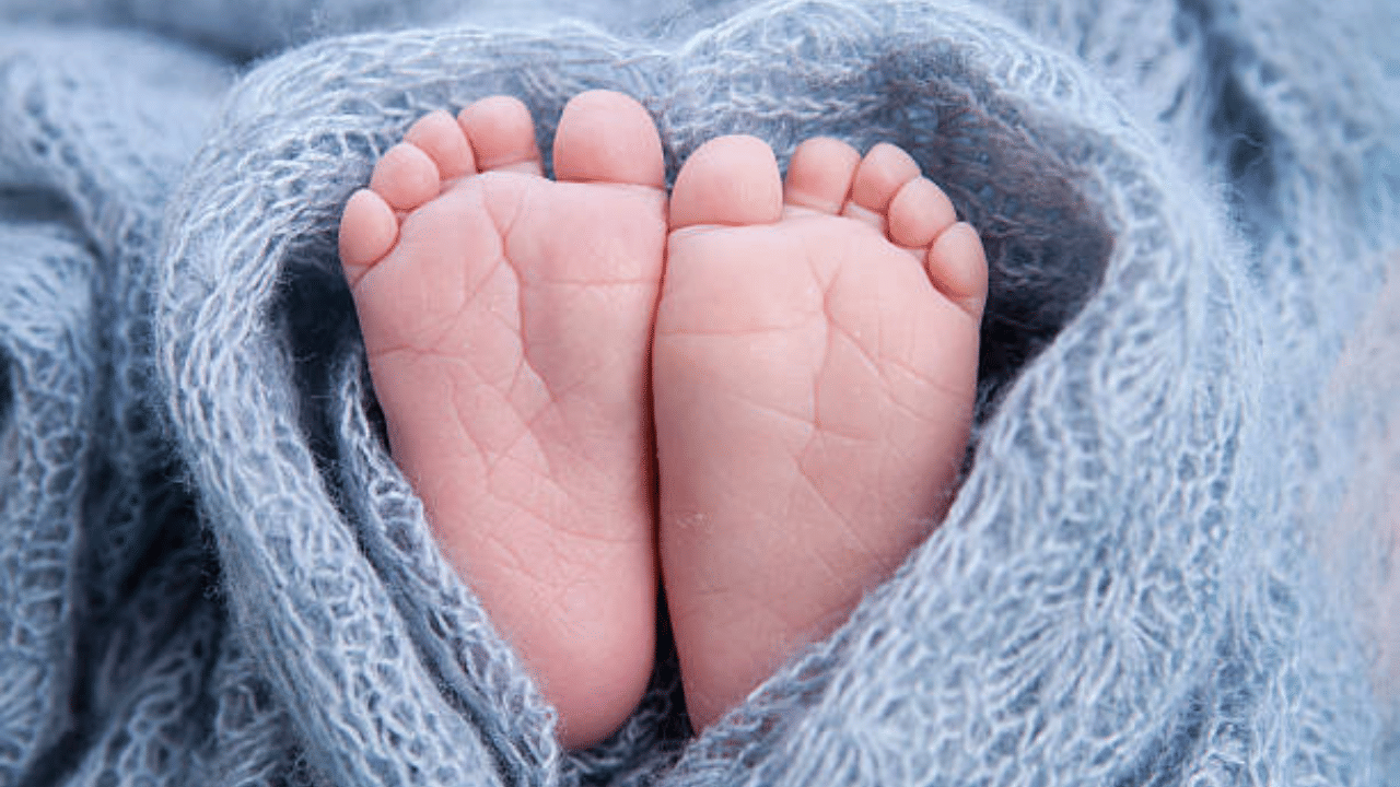 Alappuzha Newborn Death: ആലപ്പുഴയിലെ നവജാത ശിശുവിൻ്റെ മരണം; കുഞ്ഞിൻ്റെ മൃതദേഹം കിട്ടി, രണ്ട് പേർ കസ്റ്റഡിയിൽ