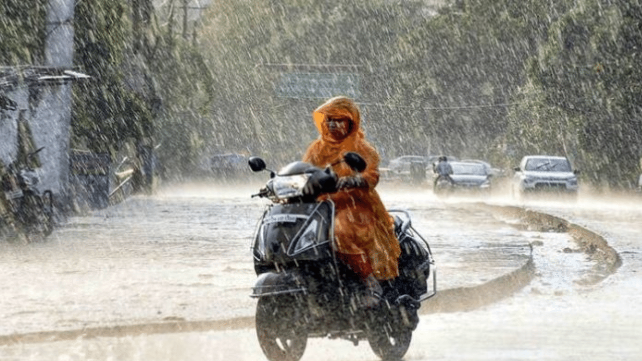 Kerala Rain Alert: ശക്തമായ കാറ്റിനെ തുടർന്ന് ട്രാക്കിൽ മരം വീണു, ട്രെയിനുകൾ പിടിച്ചിട്ടു; 7 ജില്ലകളിൽ മഴ മുന്നറിയിപ്പ്