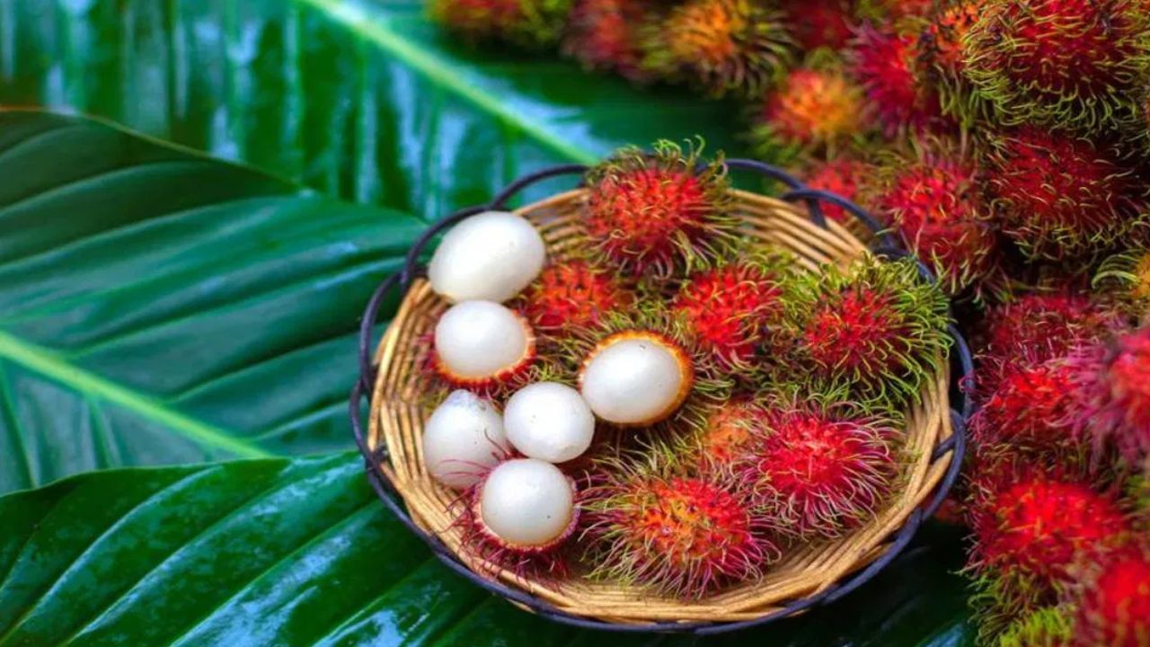 Rambutan Death : റമ്പൂട്ടാൻ കുരു തൊണ്ടയിൽ കുടുങ്ങി; എട്ടുമാസം പ്രായമുള്ള കുഞ്ഞ് മരിച്ചു Rambutan Death : റമ്പൂട്ടാൻ കുരു തൊണ്ടയിൽ കുടുങ്ങി; എട്ടുമാസം പ്രായമുള്ള കുഞ്ഞ് മരിച്ചു