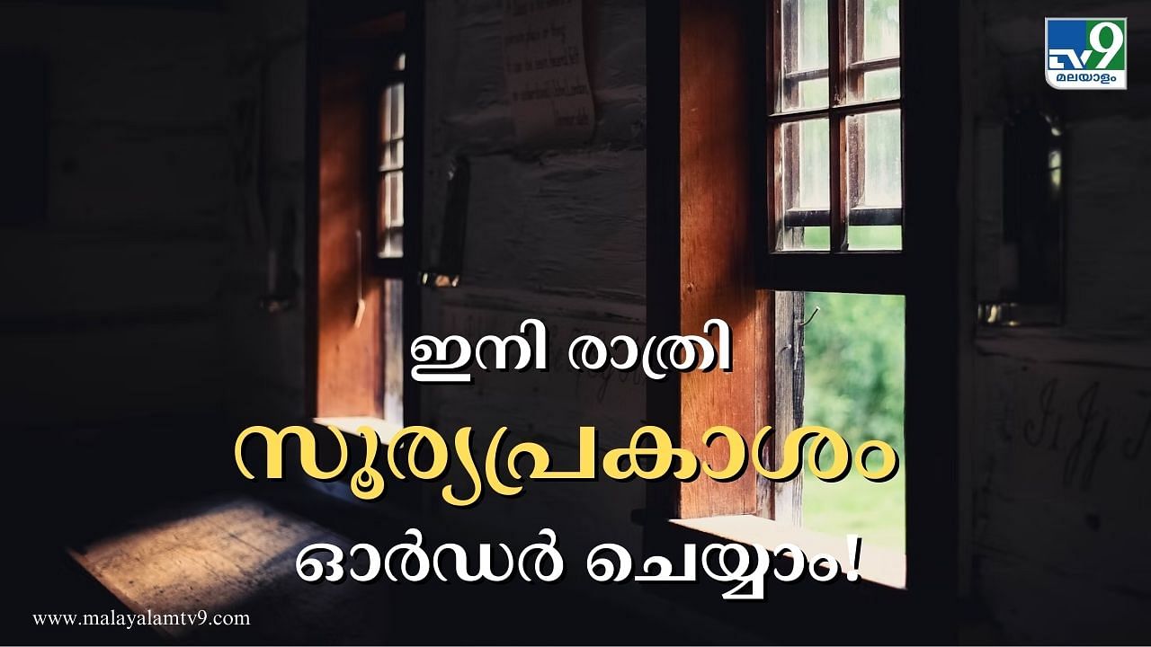 Selling Sunlight : ഭക്ഷണം ഓർഡർ ചെയ്യുന്നത് പോലെ ഇനി രാത്രി സൂര്യപ്രകാശം ഓർഡർ ചെയ്യാം; വിശദാംശങ്ങൾ ഇങ്ങനെ