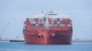 Vizhinjam: 51 മീറ്റർ വീതിയും 366 മീറ്റർ നീളവും; വിഴിഞ്ഞത്തേക്ക് മറ്റൊരു കൂറ്റൻ മദർഷിപ്പ് കൂടി