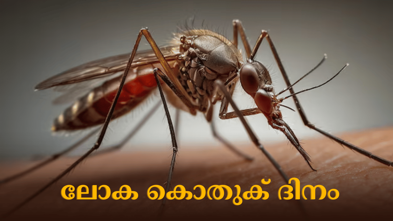 World Mosquito Day: ഇന്ന് ലോക കൊതുക് ദിനം; നിസാരക്കാരനല്ല... പ്രതിവർഷം കൊല്ലുന്നത് 105 പേരെ