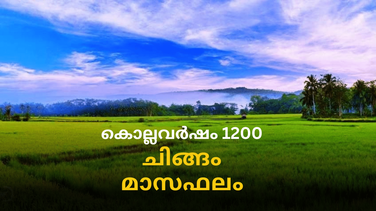 Chingam 2024: ചിങ്ങം ഒന്ന് മുതൽ ഈ നക്ഷത്രക്കാരെ കാത്തിരിക്കുന്നത് രാജയോ​ഗം; കൂടുതലറിയാം