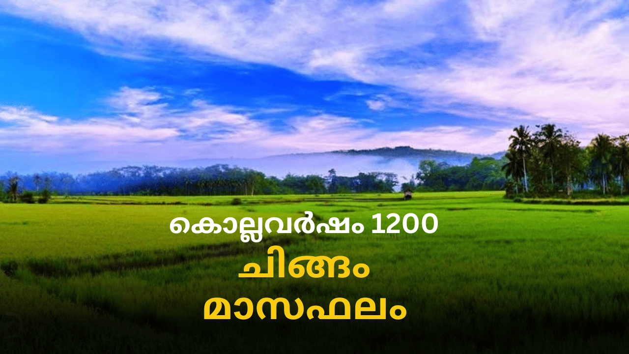 Chingam 2024: ചിങ്ങം ഒന്ന് മുതൽ ഈ നക്ഷത്രക്കാരെ കാത്തിരിക്കുന്നത് രാജയോഗം; കൂടുതലറിയാം Chingam 2024: ചിങ്ങം ഒന്ന് മുതൽ ഈ നക്ഷത്രക്കാരെ കാത്തിരിക്കുന്നത് രാജയോഗം; കൂടുതലറിയാം