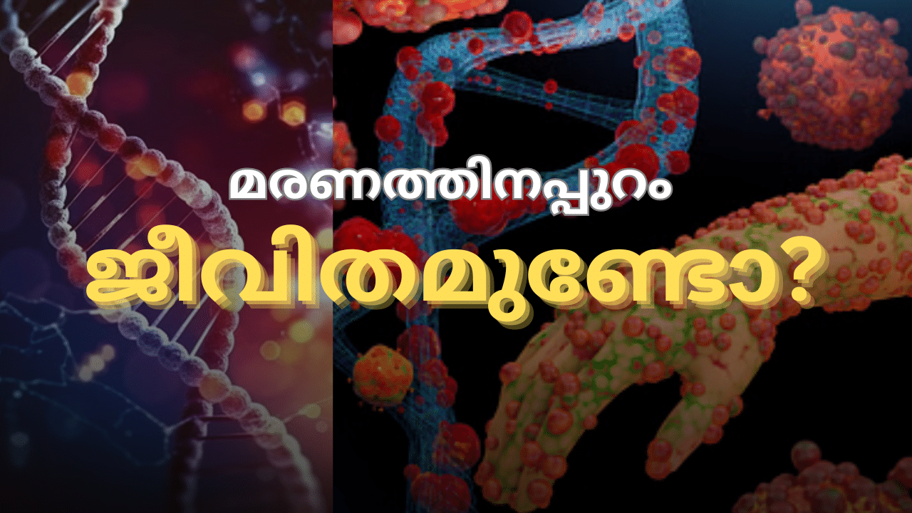 Third state of life: ജീവിതത്തിനും മരണത്തിനും അപ്പുറമുള്ള നിഗൂഢമായ മൂന്നാം അവസ്ഥ... സ്ഥിരീകരണവുമായി ശാസ്ത്രജ്ഞർ