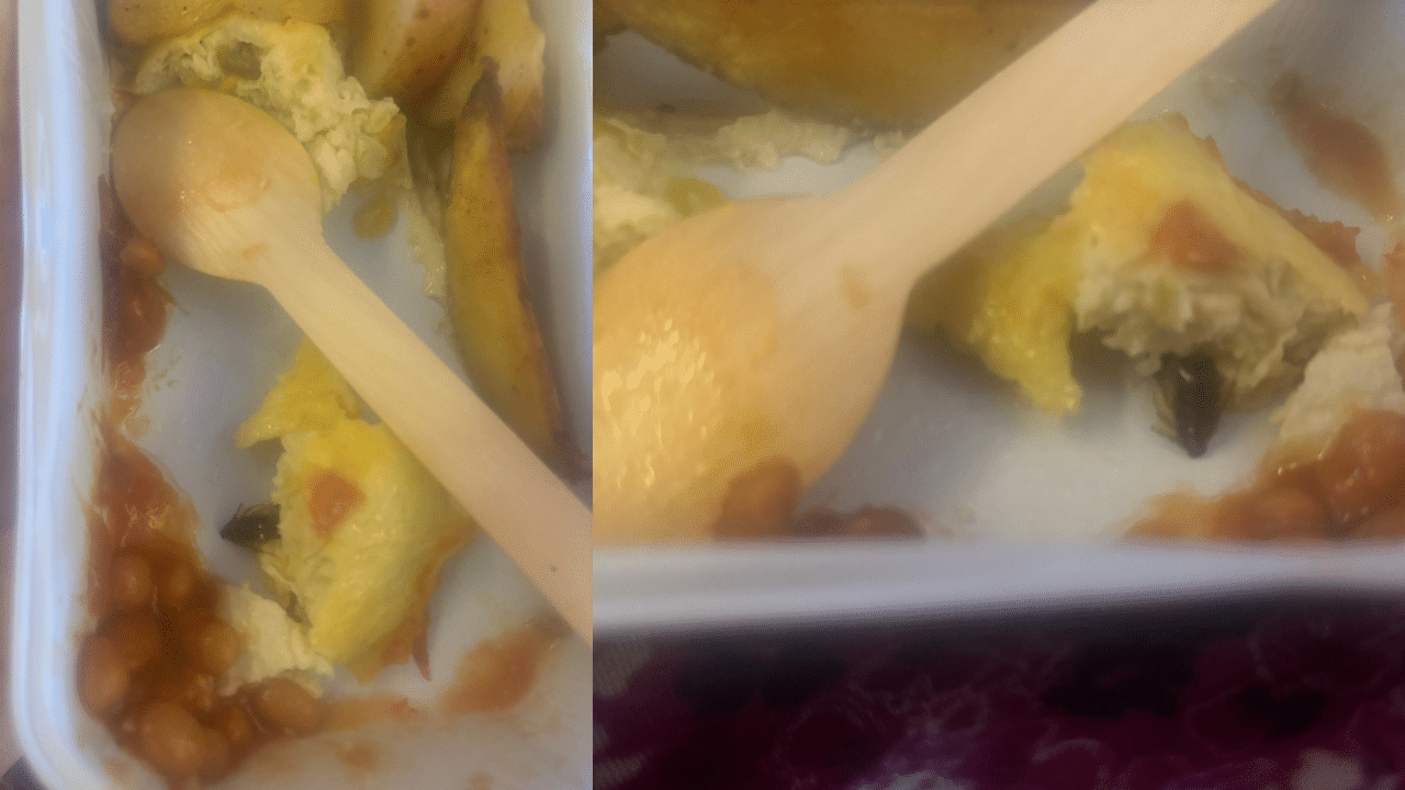 Cockroach In Omelette: ഓംലെറ്റിനുള്ളിൽ പാറ്റ…; വിമാനത്തിലുണ്ടായ ദുരവസ്ഥ പുറത്തുവിട്ട് യാത്രകാരി, വീഡിയോ Cockroach In Omelette: ഓംലെറ്റിനുള്ളിൽ പാറ്റ…; വിമാനത്തിലുണ്ടായ ദുരവസ്ഥ പുറത്തുവിട്ട് യാത്രകാരി, വീഡിയോ
