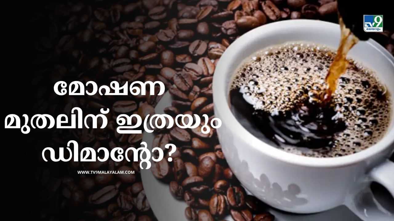 International Coffee Day 2024: മോഷണ മുതലില്‍ നിന്നും രാജപദവിയിലേക്ക്; ഇന്ത്യയില്‍ കാപ്പി വന്ന കഥ